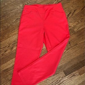 Attyre Pull On Pant Size 10P